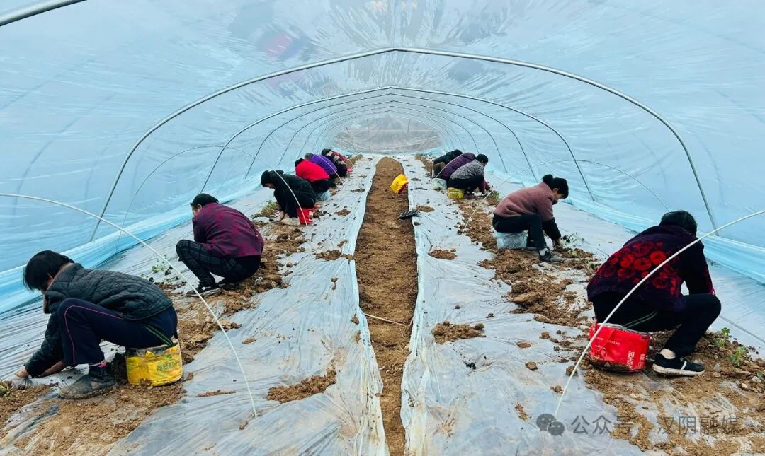 行星先锋心服进消马鞍党建引领用工行务防山分