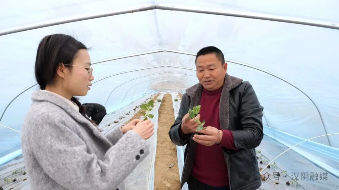 平稳假期大局中秋治安全省有序社会