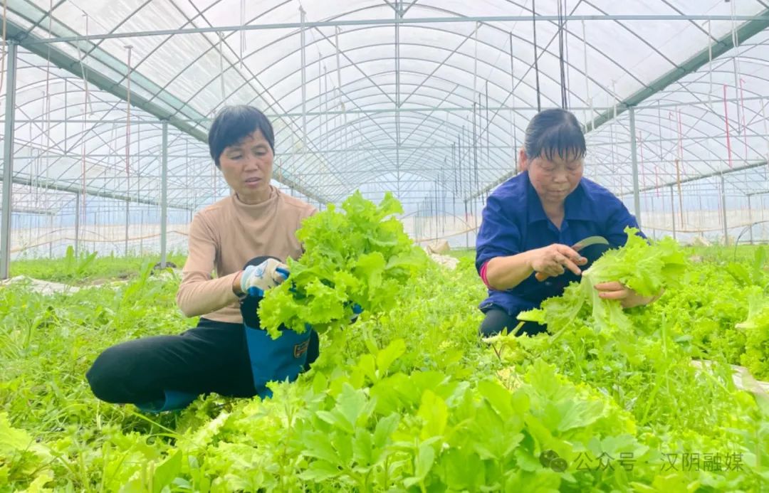 行花行深宣传入某马鞍活动开展集资钱与中学反洗防范非法山工山支