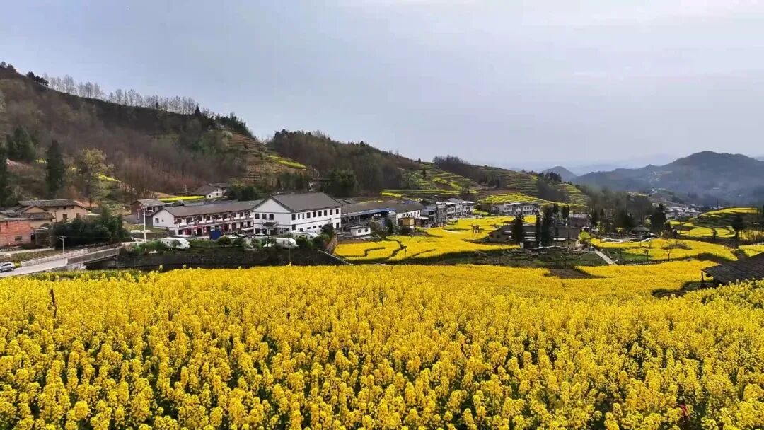 而行玩五一完一相约向春起去指南庐江露营安徽撒野开,看