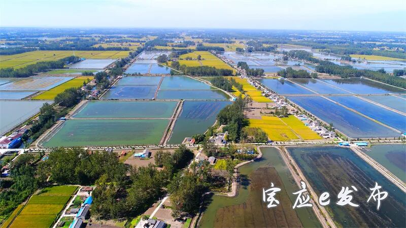 宝应夏集镇捧回乡村振兴金字招牌