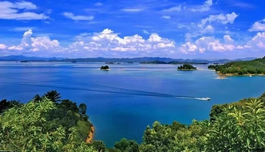 东源启动县领导驻点督导万绿湖创建国家5a级旅游景区工作