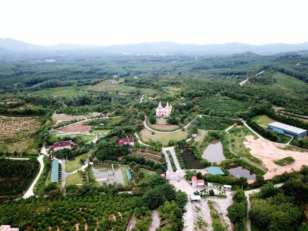 海南旅游穿什么_三沙 海南 旅游岛 旅游岛 南海_海南穿杖