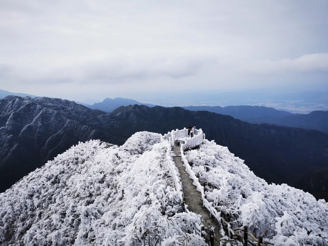 大明山绝美雾凇玉树琼枝美若仙境