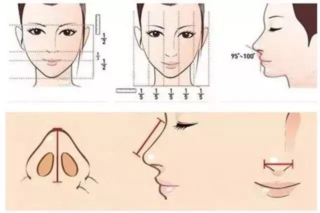 最好看的四种鼻子，第三种鼻子听说只有9%的人拥有？