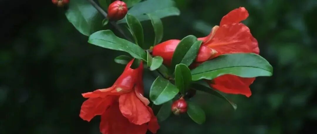 这，就是算力！