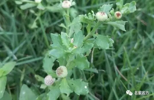 【和记健康】鼻炎找上门，防治有方法