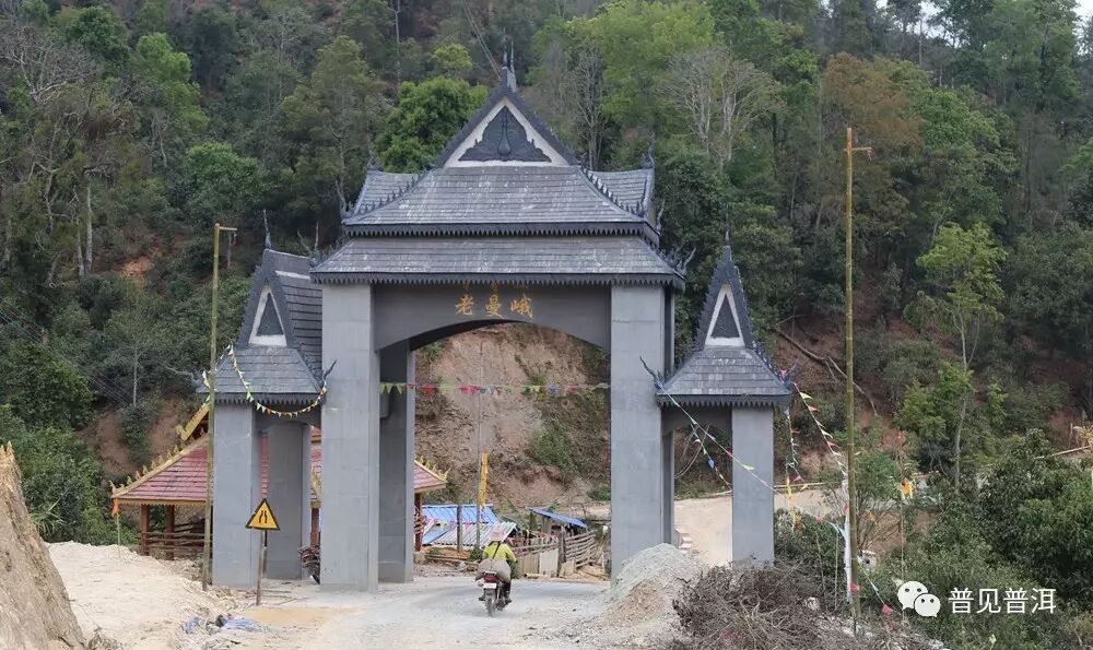 茶山行 ▏ 老曼峨