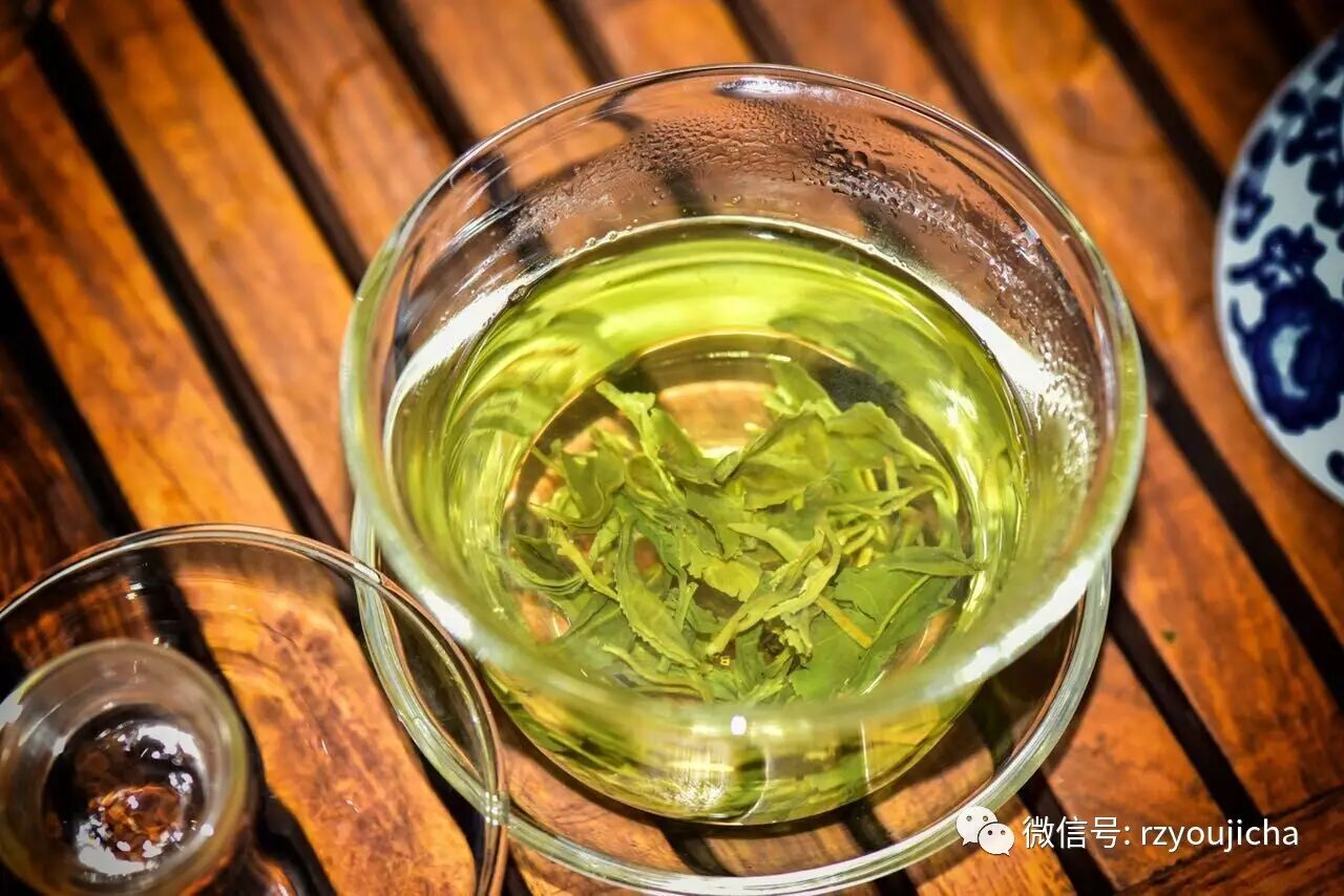 日照绿茶春茶提前知:新茶莫急品 春茶无需洗