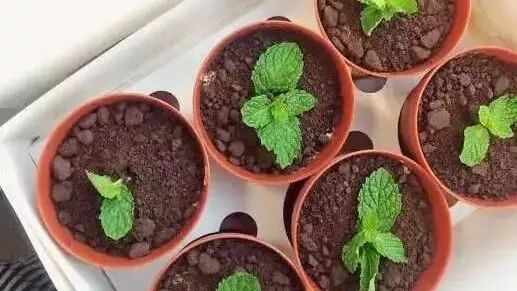 那些超级奇葩的蛋糕，敢吃的我敬你是条汉子