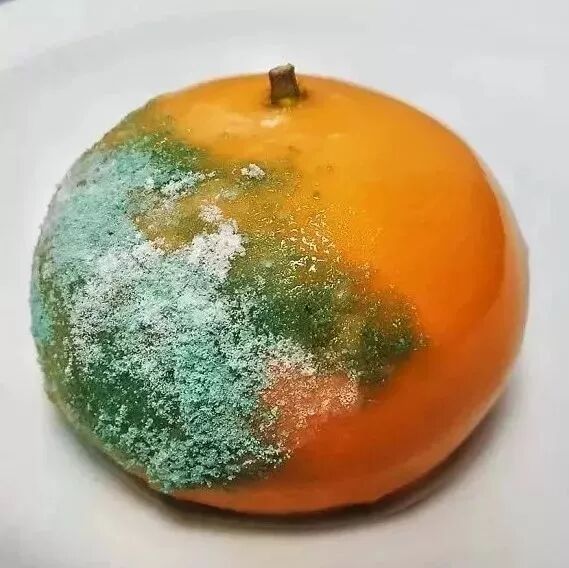 把美味的蛋糕做成这个样子……还有谁想吃吗？