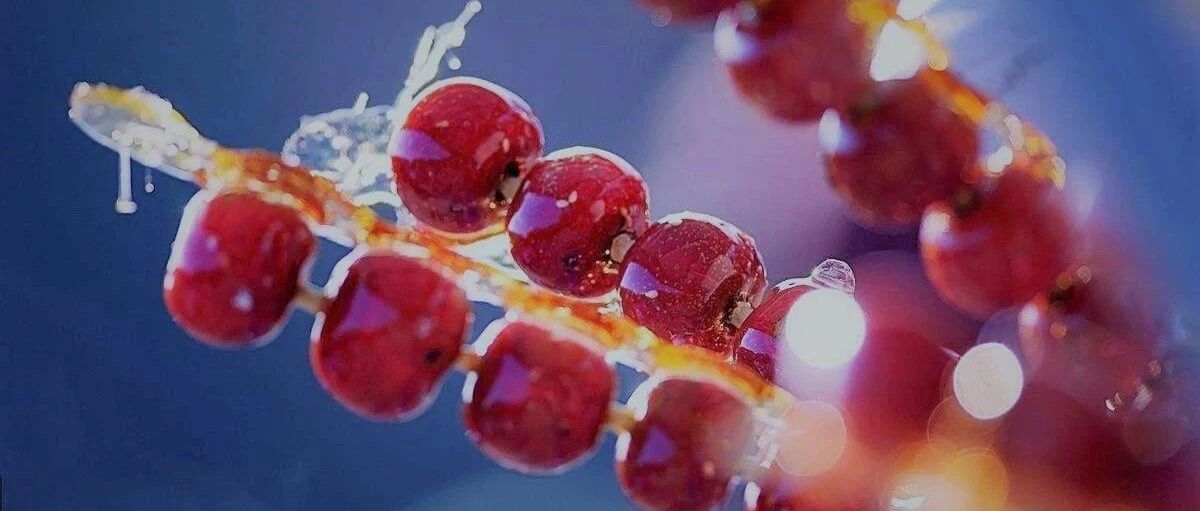 梁实秋：北平的零食贩丨大家