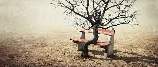 李修文：最后一首诗 | 赏读