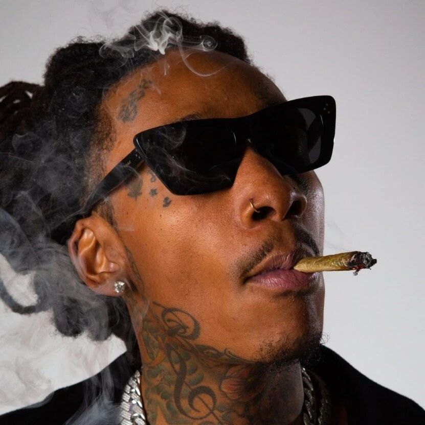 震惊!!! Wiz Khalifa透露了他一天吸食多少大麻