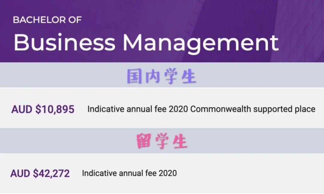 学费调整致教学质量下降？澳大学资源或被疯抢，八大集体发声：研究搞不下去了！（组图） - 4