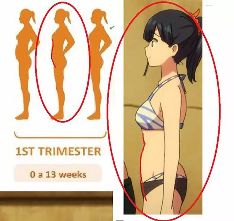 動漫資訊軟件_動漫資訊_動漫資訊是從哪獲取的