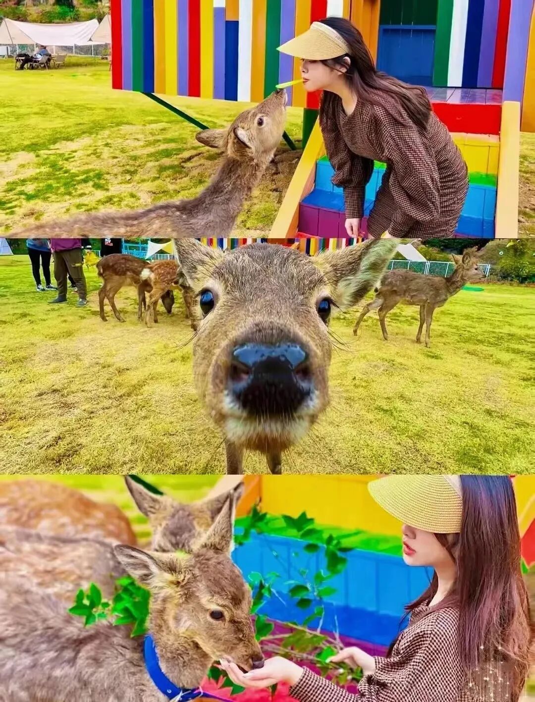 滕州首个恐龙主题萌宠动物园4月8号开园免门票