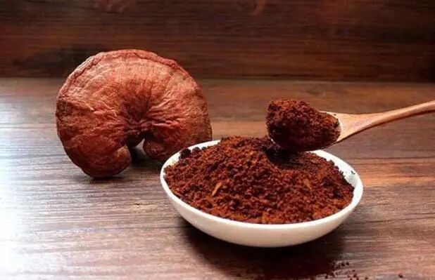 灵芝不能乱吃！《中国药典》只收录了这两种！