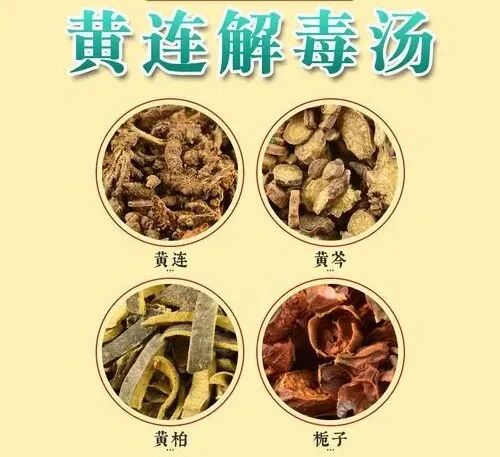 一个解毒神方，只需4味药，比“消炎药”还狠！