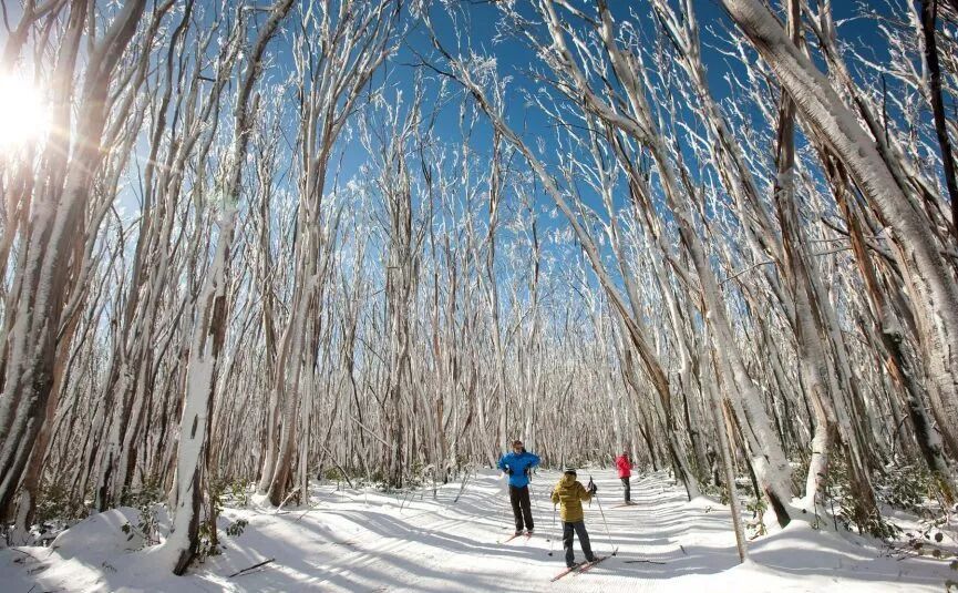 2019墨尔本最强滑雪攻略来了！维州这些人气滑雪场你都知道吗？ - 3