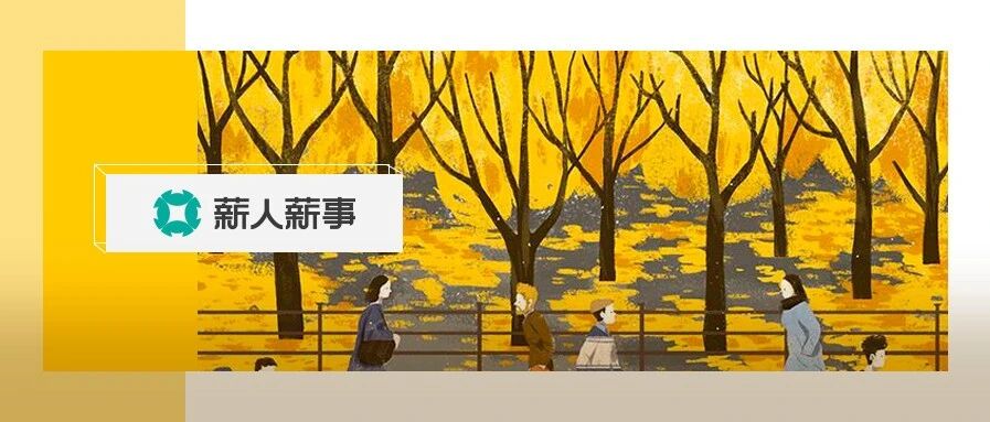 刚刚那个做薪酬绩效的同事被老板开除了