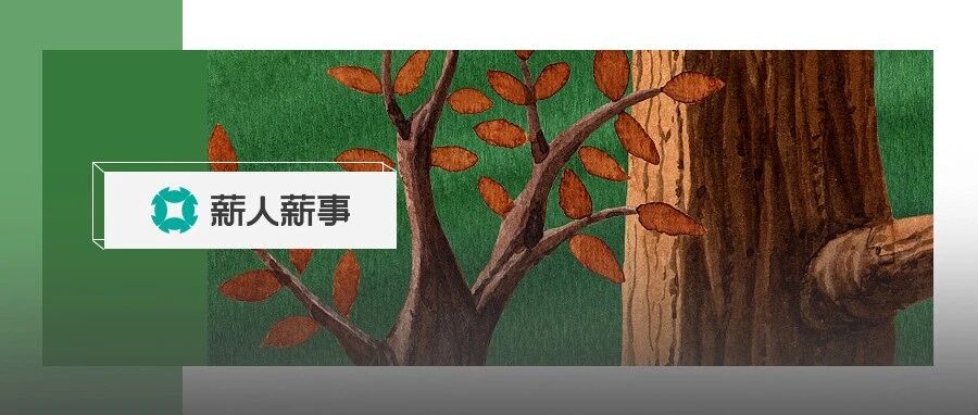假如易立竞来吐槽HR