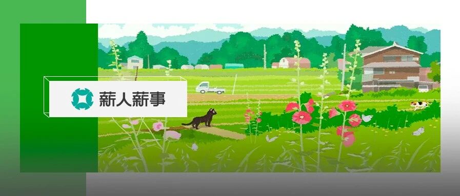 美团校招35w+年薪逼走老员工：宁愿高薪招新人，也不给老员工加薪