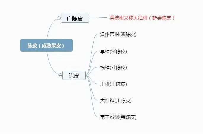 一文来了解枳实和枳壳,青皮和陈皮的区别