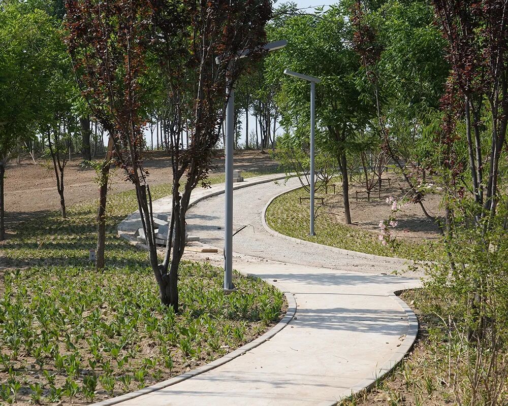 实地探访天通苑生态休闲公园施工现场 计划今年10月投用