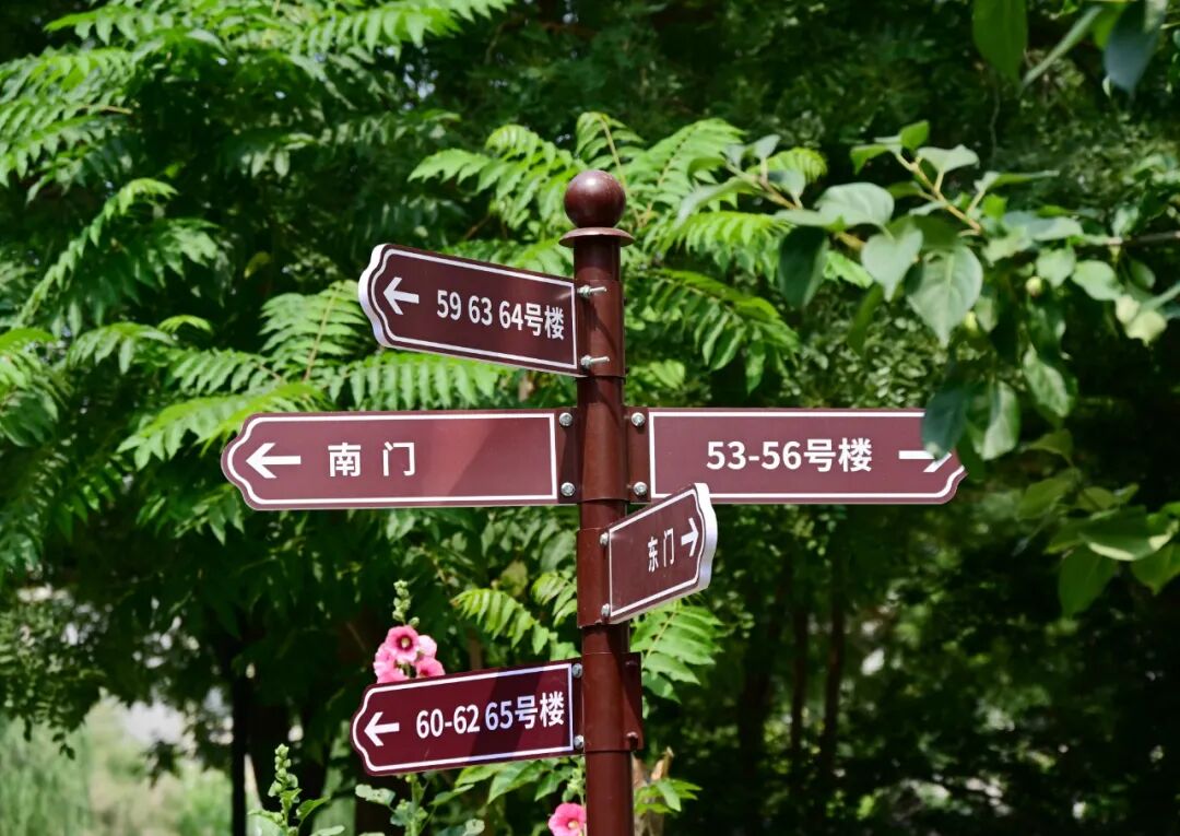 凝"新"聚力,"骑"乐融融!友好社区"666"