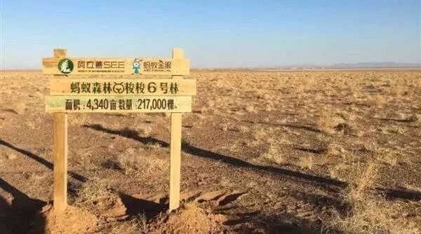 蚂蚁森林能量产生规则_蚂蚁森林能量产生规则_蚂蚁森林地铁出行能量