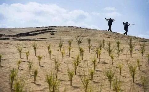 蚂蚁森林能量产生规则_蚂蚁森林地铁出行能量_蚂蚁森林能量产生规则