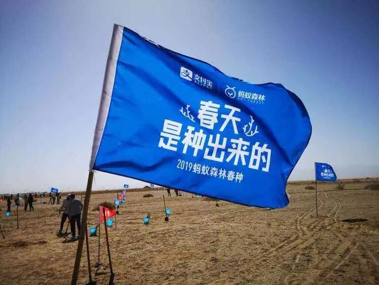 蚂蚁森林能量产生规则_蚂蚁森林能量产生规则_蚂蚁森林地铁出行能量