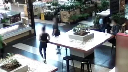 墨尔本女店员路过购物中心被两名女孩抢劫，腿部受伤缝13针！ - 2