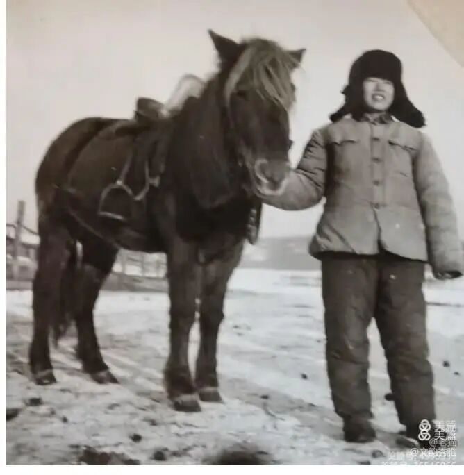 作者简介:邹文秀,网名文韵秀雅,大学文化,高级政工师