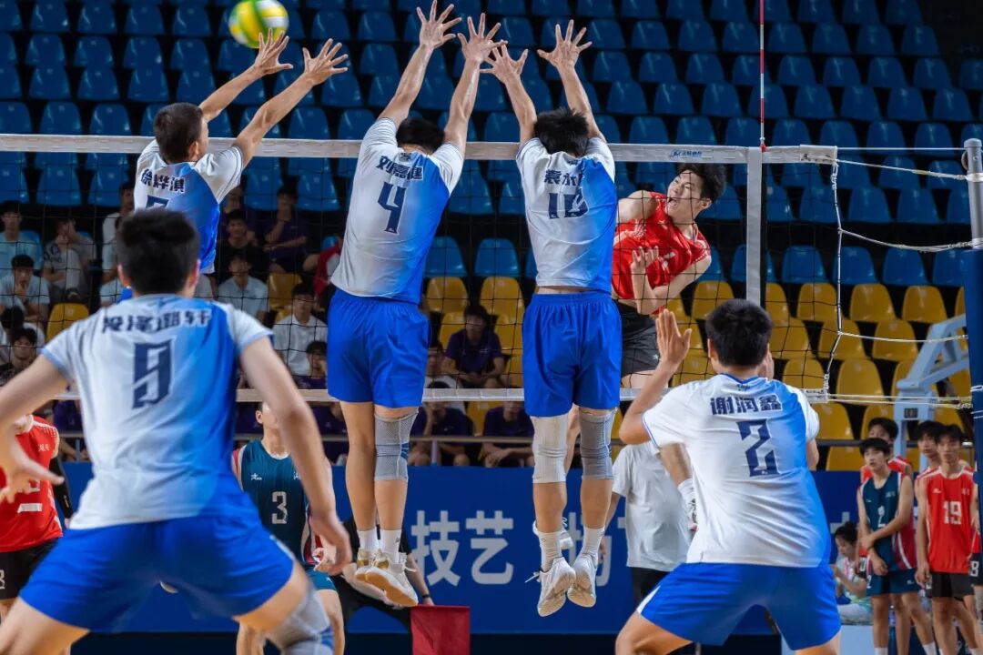 ͼƬ