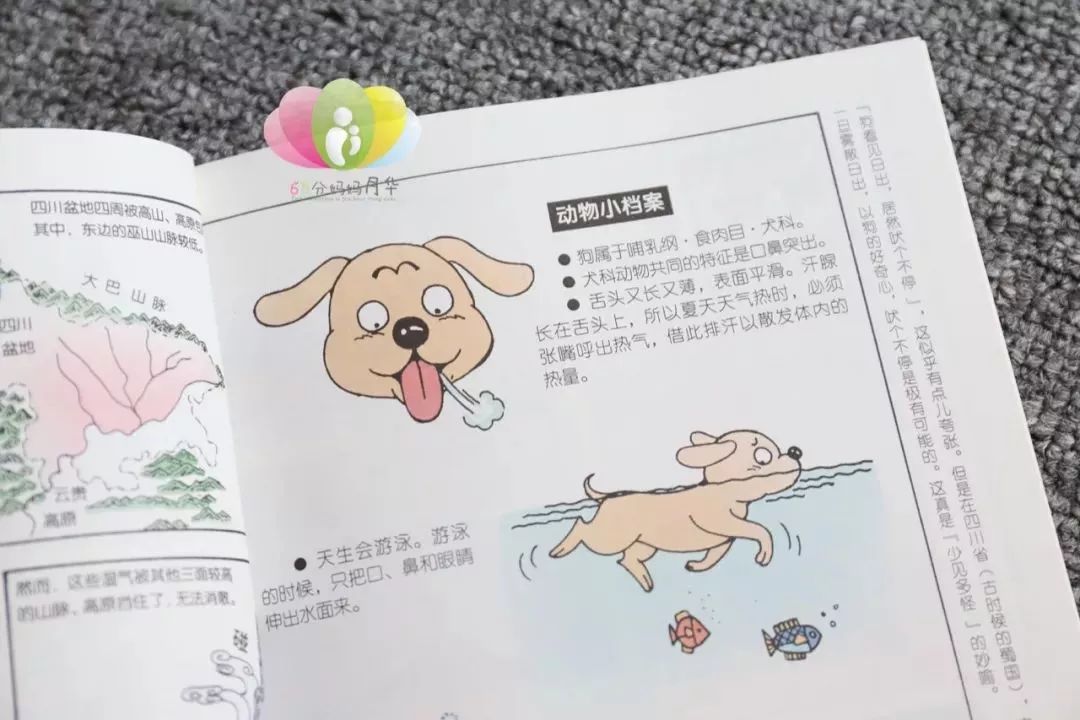 好书团预告 小牛顿出品的成语故事 在漫画中讲透500多个常用成语 在成语中科普知识 文理结合就靠它了 60分妈妈月华