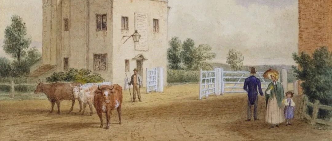 虎妈砸钱百万，养出了一个废柴儿子：最好的教育，是热爱！