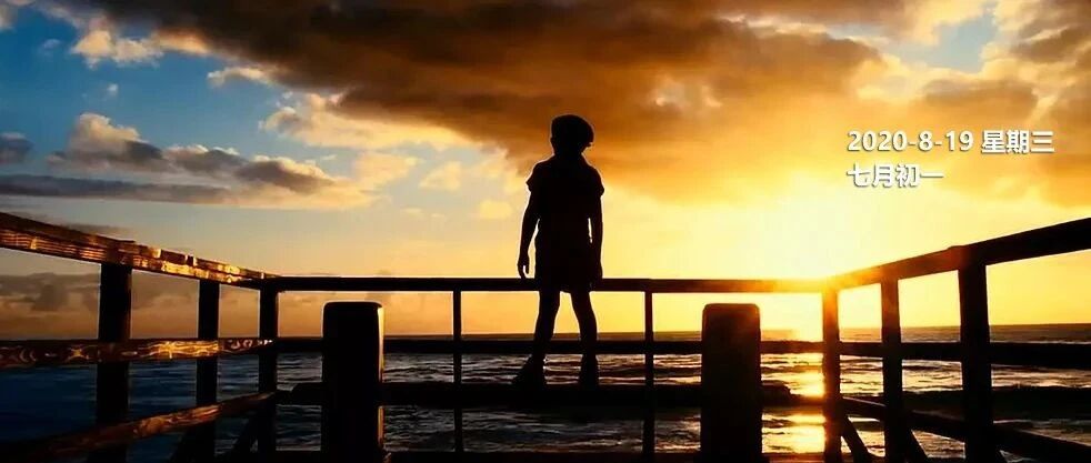 我采访了几个牛娃的家长，看看别人家的娃都是怎么养出来的