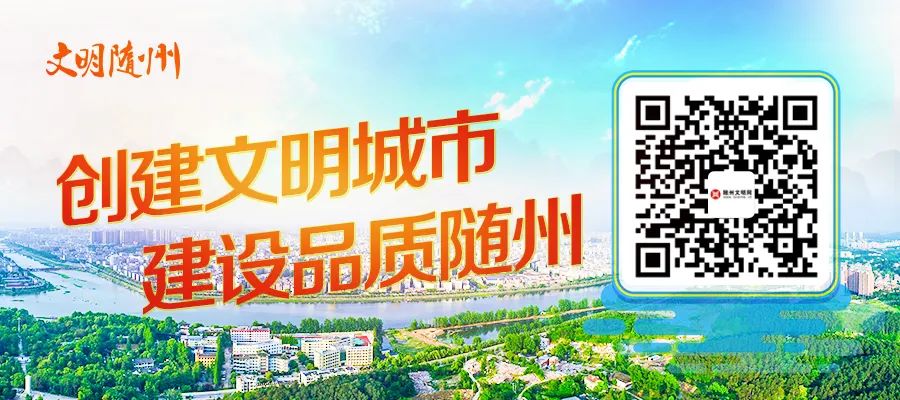 推进高水平平安随州建设 ▏随州市干部群众热议党的二十届三中全会精神(六)国家安全体系,社会治理,应急管理,政法工作,平安中国
