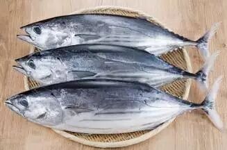 趣味科普 寿司中 鰯鮨鰤鳗 都是啥 只有1 的人能认全 收藏起来不露怯 科普荣成 微信公众号文章阅读 Wemp