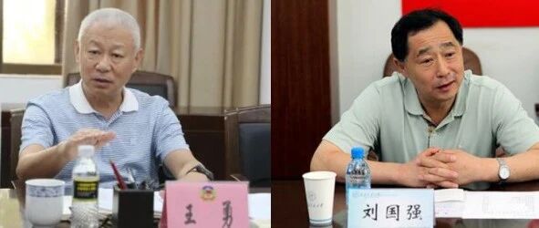 中纪委深夜“打虎” 两省政协副主席落马