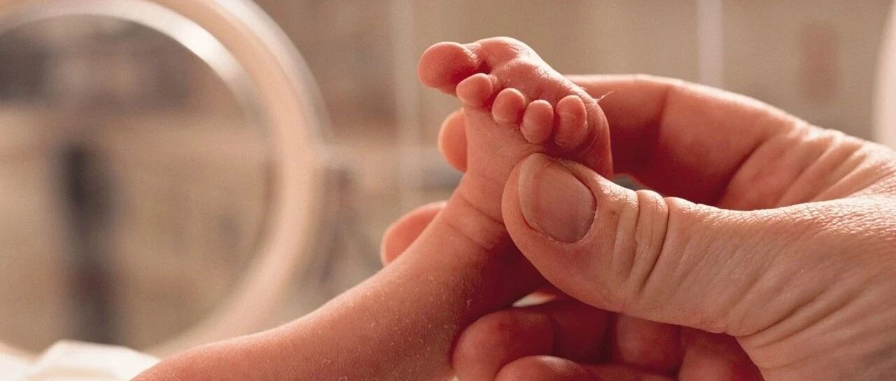 早产儿“死而复生”，官方介入调查！