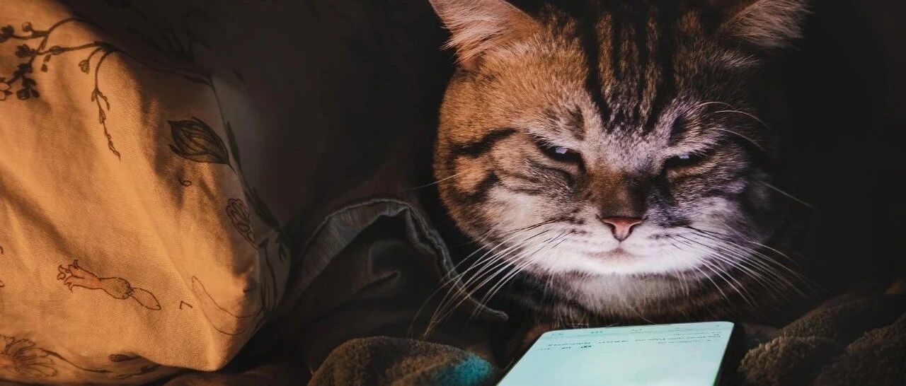 睡觉时手机放多远没辐射？边充电边玩，辐射更大？终于有答案了