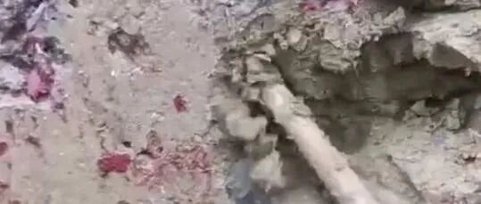 【8点见】湖南一抗洪河堤“一戳就破” 官方回应