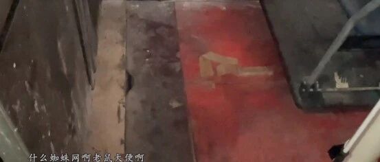 【8点见】老鼠屎、蜘蛛网，这家网红外卖店后厨冲上热搜！