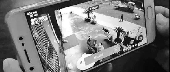 “给老家的父母装了监控，20秒后，我实在看不下去了……”