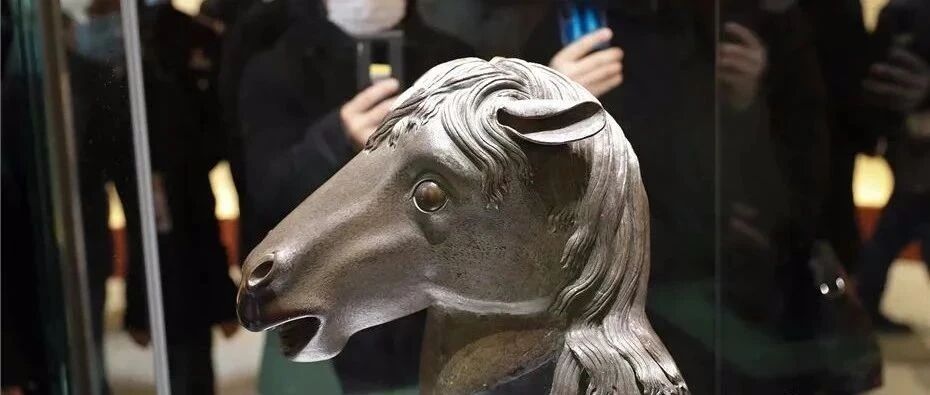 马首正式回家！