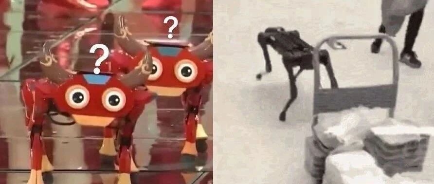 春晚后台这头“打工牛”可把人笑翻了！