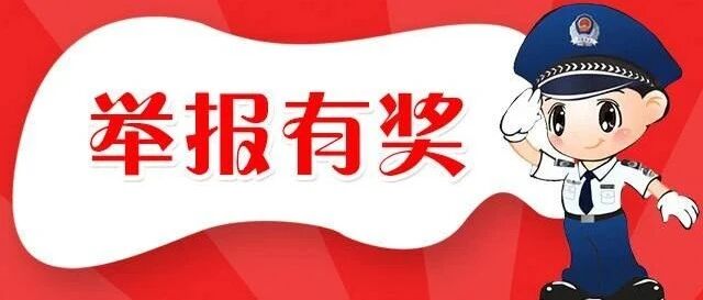 【8点见】举报一人奖励80万！